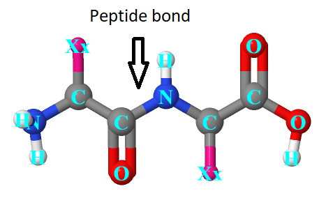 Molecular Science